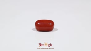 Red Coral - 5.68 Carat