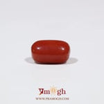 Red Coral - 5.68 Carat
