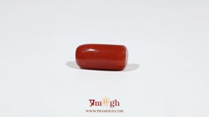 Red Coral - 7.05 Carat