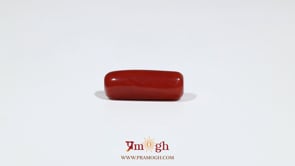 Red Coral - 5.6 Carat