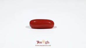 Red Coral - 6.4 Carat