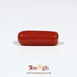 Red Coral - 6.65 Carat