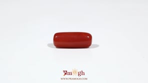 Red Coral - 5.55 Carat