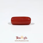 Red Coral - 5.55 Carat