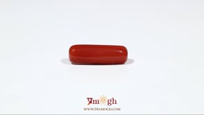 Red Coral - 5.5 Carat