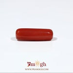 Red Coral - 5.5 Carat