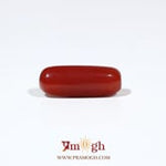Red Coral - 6 Carat