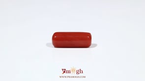 Red Coral - 6.15 Carat