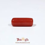 Red Coral - 6.15 Carat