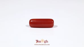 Red Coral - 6.45 Carat