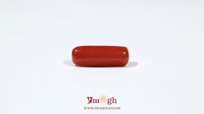 Red Coral - 5.85 Carat