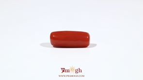 Red Coral - 7.3 Carat