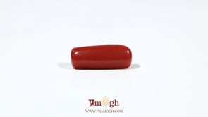 Red Coral - 6.65 Carat