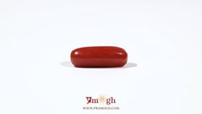 Red Coral - 6 Carat