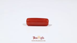 Red Coral - 5.5 Carat