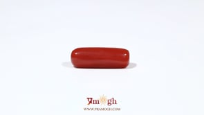 Red Coral - 5.5 Carat