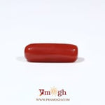Red Coral - 5.5 Carat