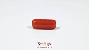 Red Coral - 7 Carat