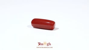 Red Coral - 6.75 Carat