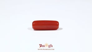 Red Coral - 5.85 Carat