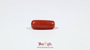 Red Coral - 5.6 Carat