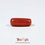 Red Coral - 5.6 Carat