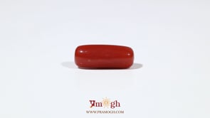 Red Coral - 7.2 Carat