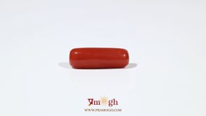 Red Coral - 5.65 Carat