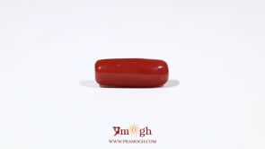 Red Coral - 6.65 Carat