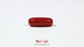 Red Coral - 6.95 Carat