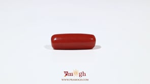 Red Coral - 6.15 Carat