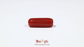 Red Coral - 7.05 Carat