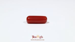 Red Coral - 5.75 Carat