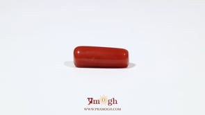 Red Coral - 6 Carat