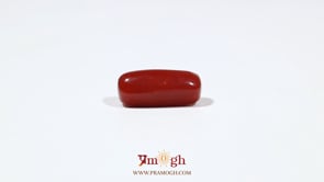 Red Coral - 5.45 Carat