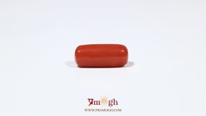 Red Coral - 6.45 Carat
