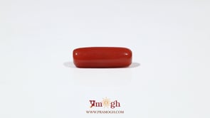 Red Coral - 5.5 Carat
