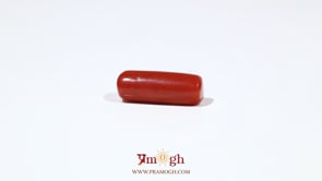 Red Coral - 5.5 Carat