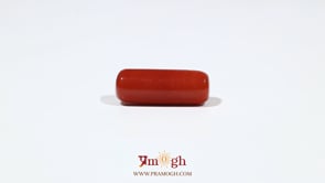 Red Coral - 7.2 Carat