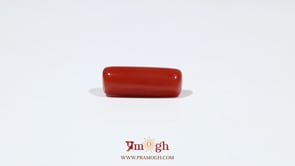 Red Coral - 6.05 Carat