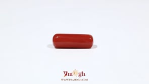 Red Coral - 5.4 Carat