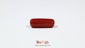 Red Coral - 6.6 Carat