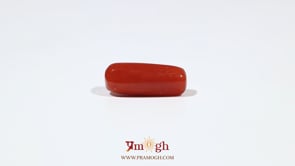 Red Coral - 5.85 Carat