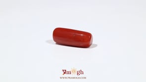 Red Coral - 7.2 Carat