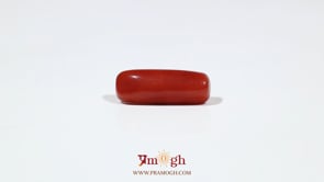 Red Coral - 5.9 Carat
