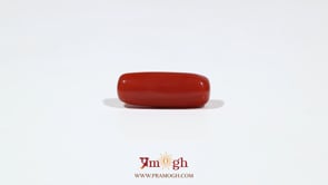 Red Coral - 6 Carat