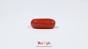 Red Coral - 6.55 Carat