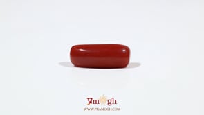 Red Coral - 6.65 Carat