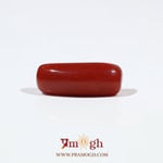 Red Coral - 6.65 Carat