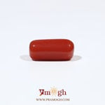 Red Coral - 5.5 Carat